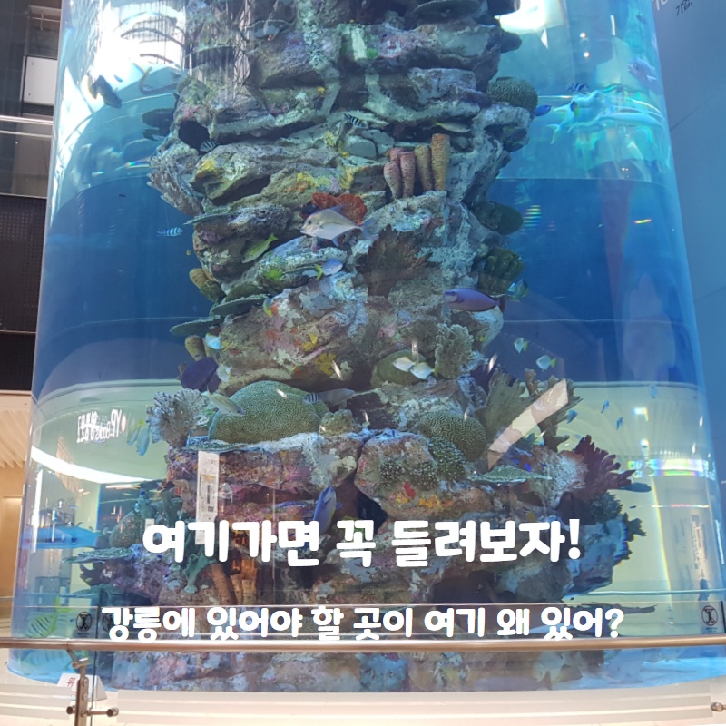  생각지도 못한 곳에서 만난 삼성동 포스코 센터점 테라로사 카페