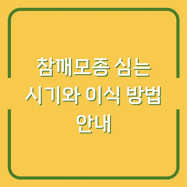 참깨모종 심는 시기와 이식 방법 안내