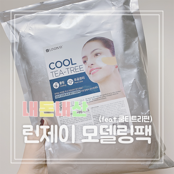  [리뷰] 린제이 모델링팩 : 모공관리 하기, 리얼 솔직 후기