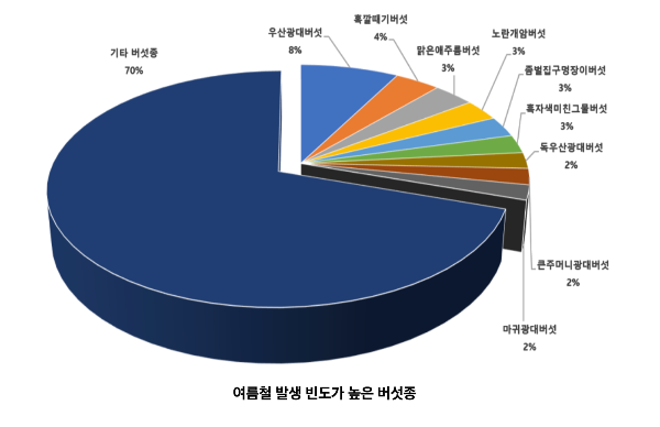 [독버섯 구별] 야생버섯 섭취 주의사항