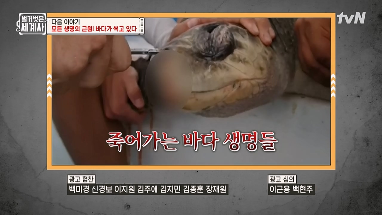 벌거벗은 세계사.E89.230308p-NEXT.mp4_20230408_185356.059.jpg