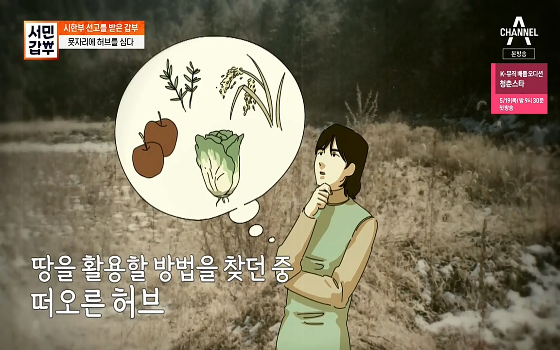서민 갑부.E380.220424p-NEXT.mp4_20220424_182540.352.jpg
