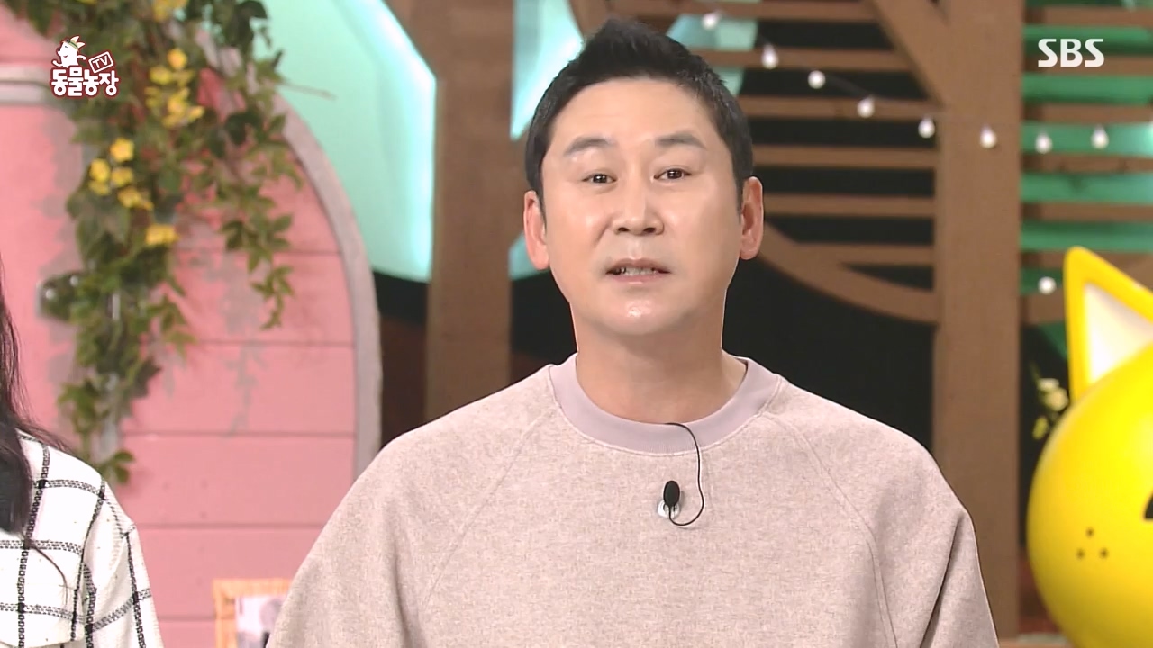 TV 동물농장.E1145.231113p-NEXT.mp4_20231112_173432.566.jpg