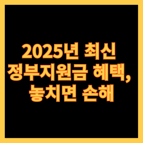 2025년 최신 정부지원금 혜택