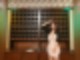 드라마세트장 (호텔델루나)) 전시회 리뷰 논현역 놀이도구) 이색전시회 ♬ 사진찍기전시회 12