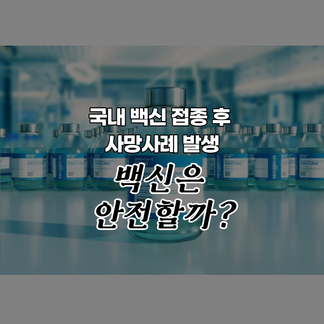  국내 백신 접종 시작 직후 사망자 발생, 충분히 안전한가?