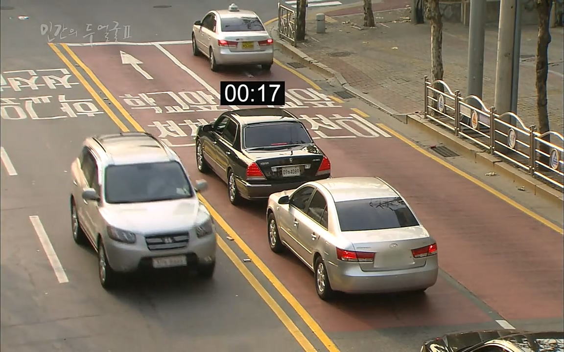 EBS 다큐프라임 - Docuprime, 인간의 두 얼굴2 제2부 아름다운 세상.mp4_20220608_205325.739.jpg