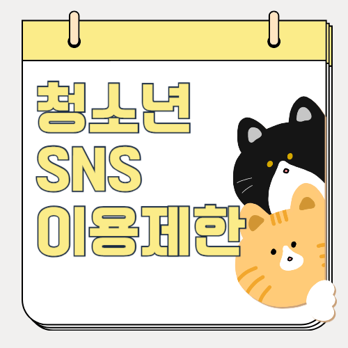 청소년 SNS 규제 제한, 긍정적인 활용과 적절한 사용의 중요성