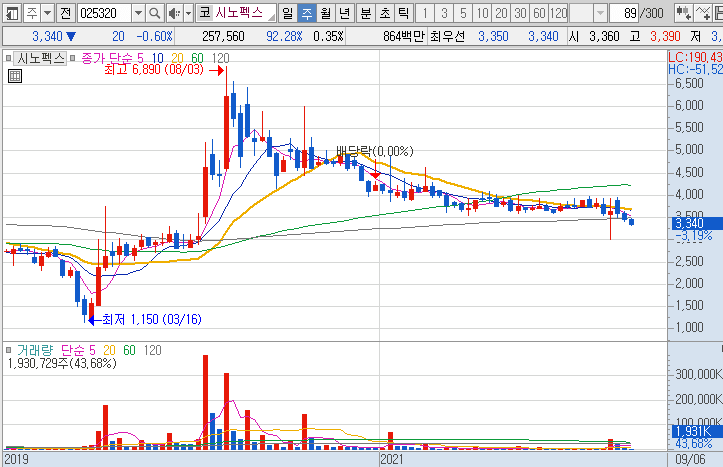 시노펙스-주가-주봉-차트