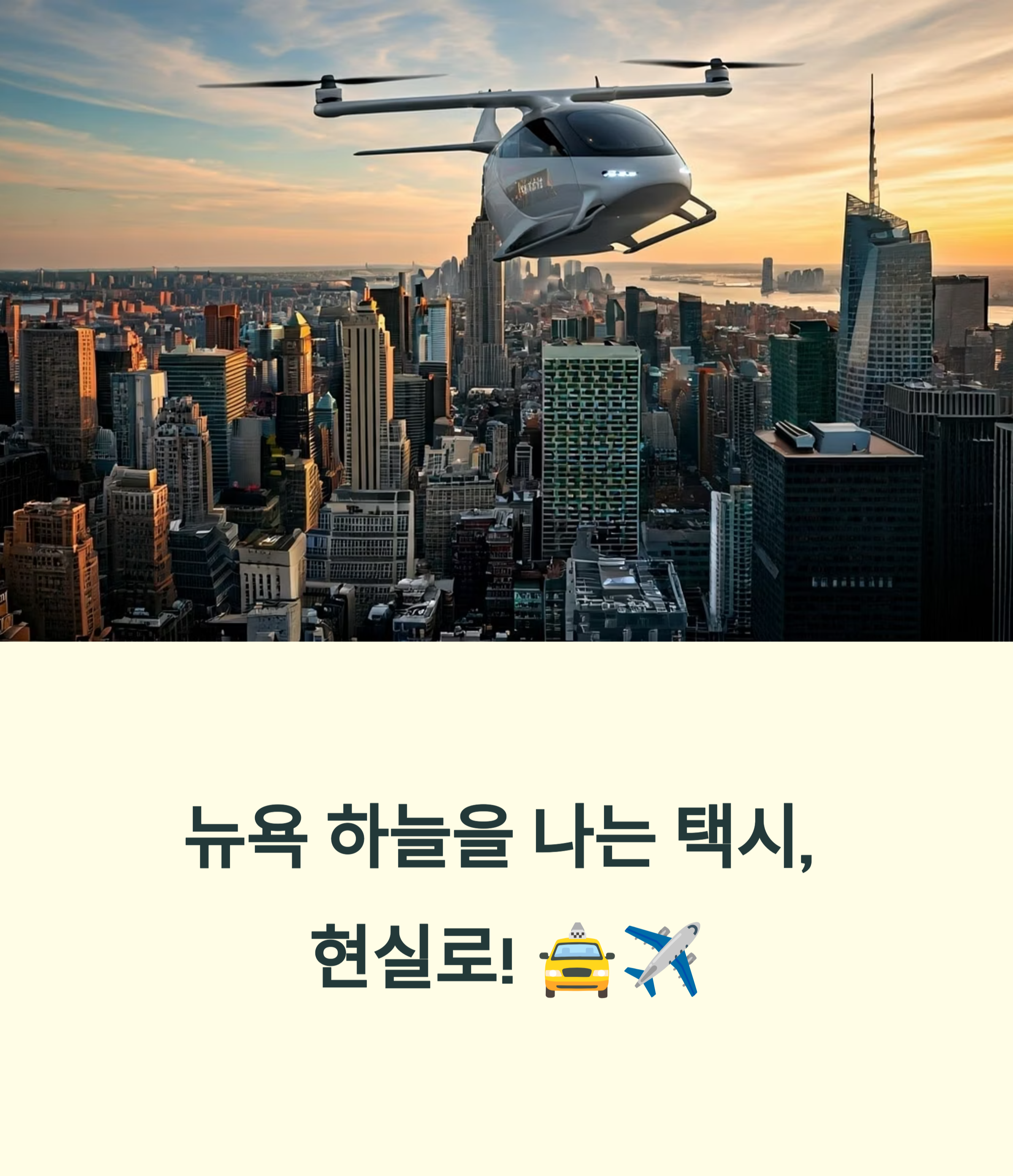 뉴욕 하늘을 나는 택시
