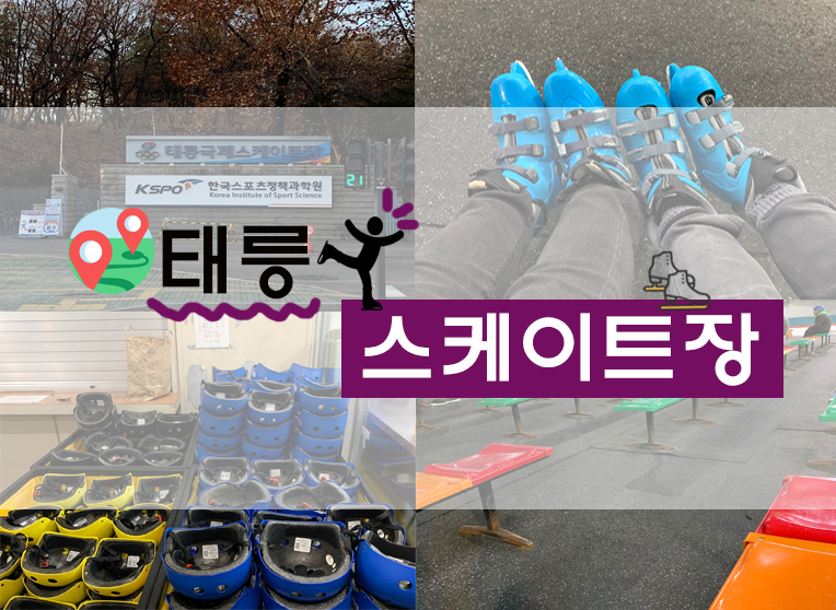  [일상/정보] 서울스케이트장 : 태릉국제스케이트장 후기 (+위치/금액/시간/안전모? 장갑 필수? 등)