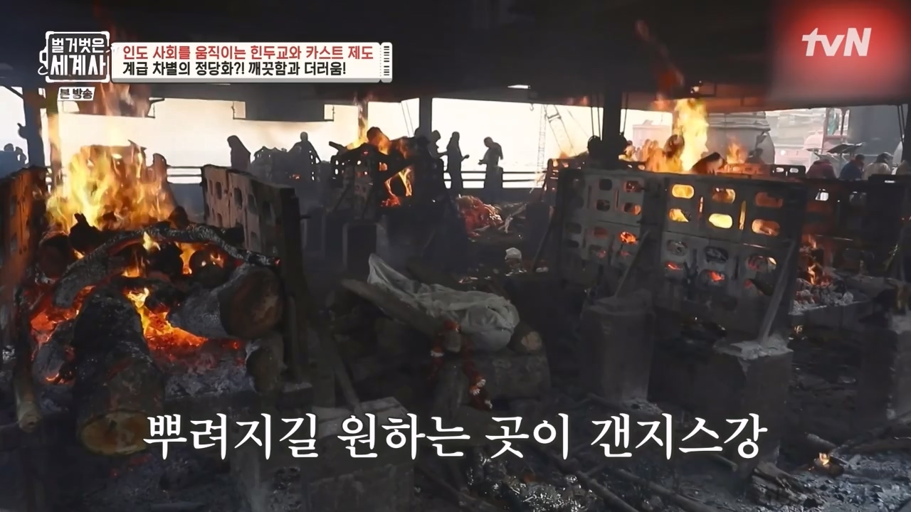 벌거벗은 세계사.E115.230906p-NEXT.mp4_20240406_181735.749.jpg