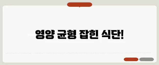 건강한 다이어트 식단 3가지 소개합니다!