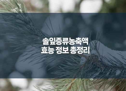 솔잎증류농축액 효능 정보 총정리