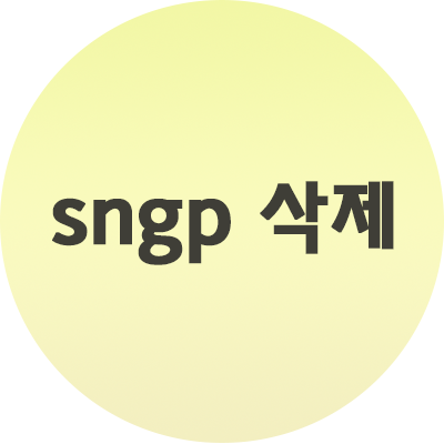  SNGP 삭제 방법 그리고 원인? 꼭 알아야 하는 점
