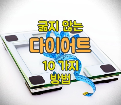 다이어트-10가지-방법