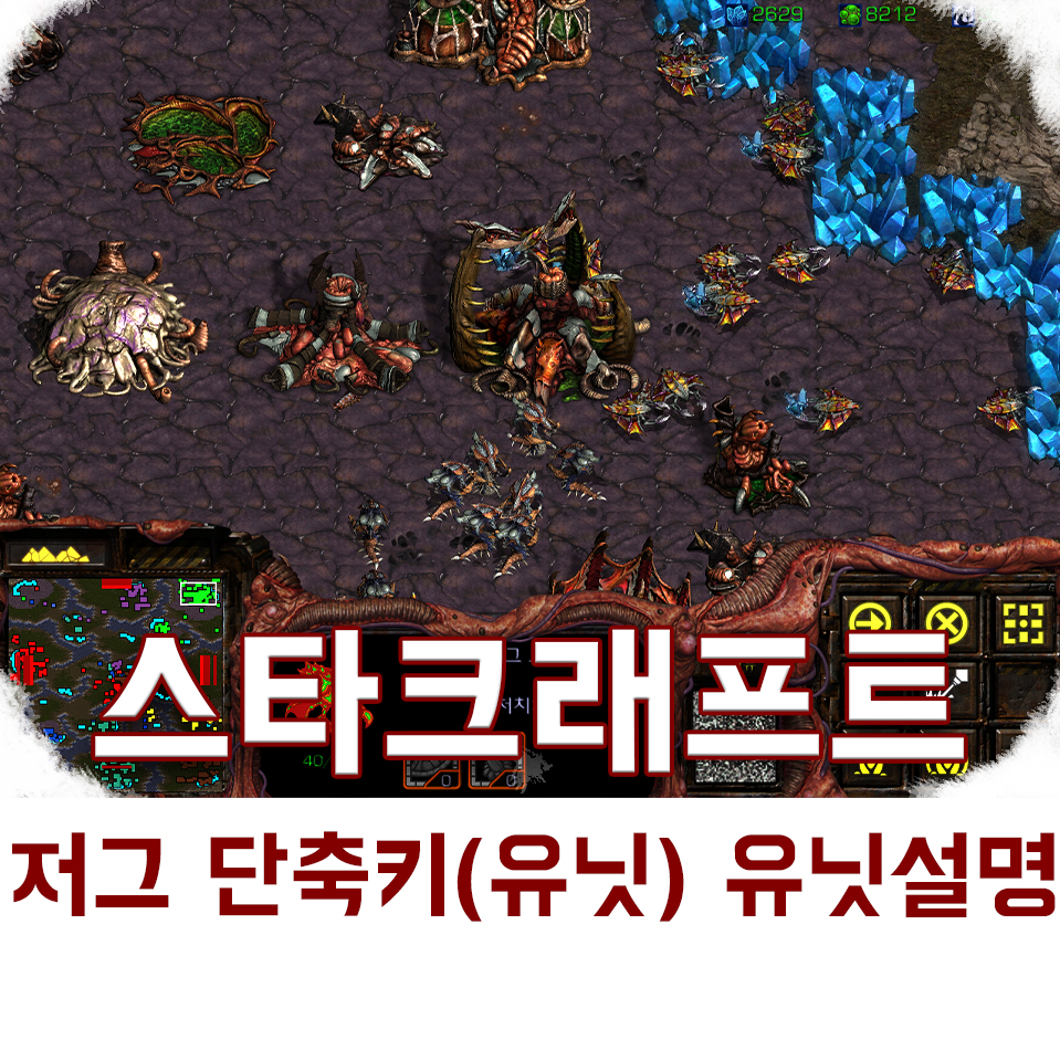  스타크래프트 저그 단축키(유닛) 유닛설명