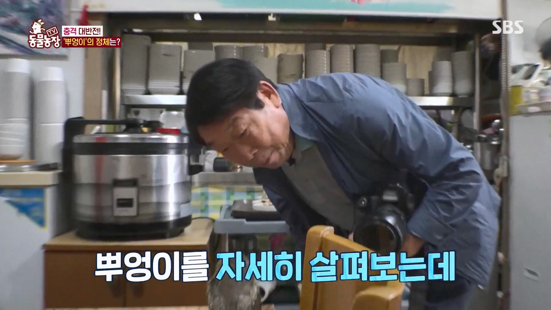 TV 동물농장.E1139.230924p.H264-F1RST.mp4_20230924_170518.917.jpg