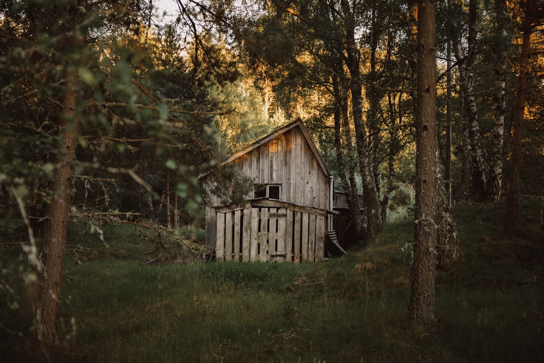 Hut.