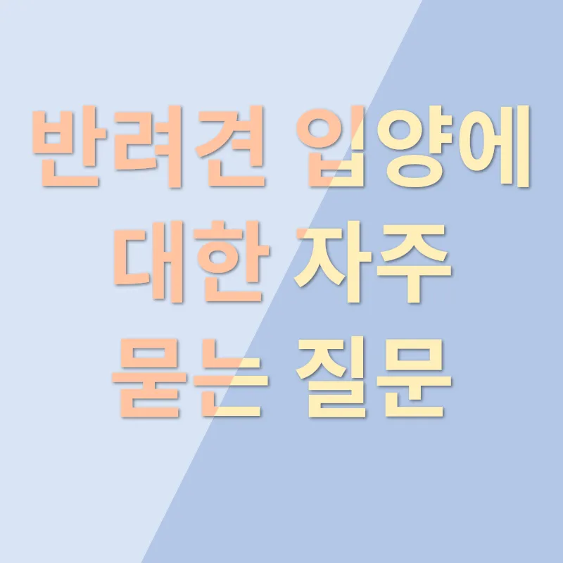 반려견 입양_4