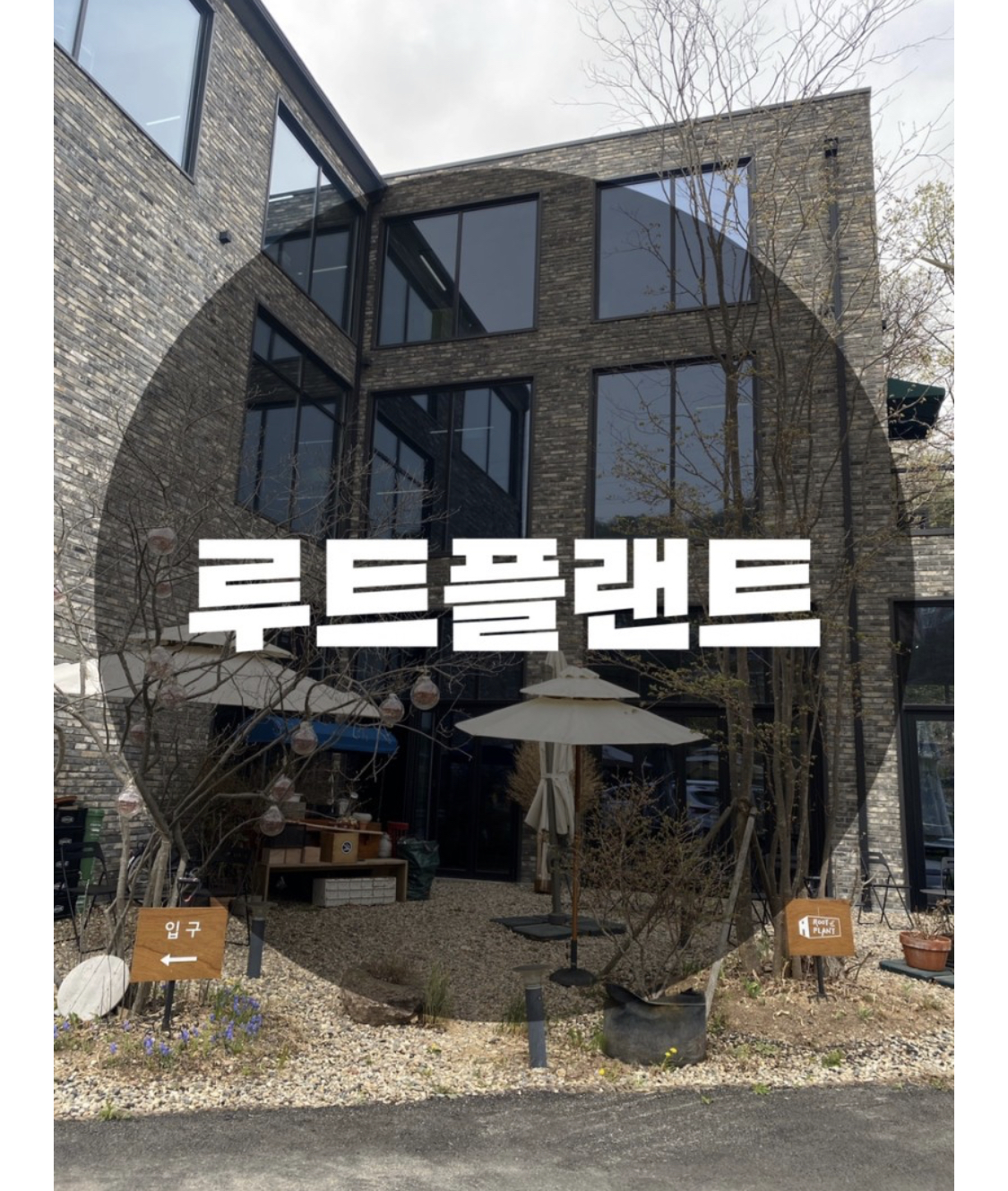  : 경기 광주시 : 애견 동반 가능, 내부 플랜테리어가 멋진 대형 카페 루트 플랜트