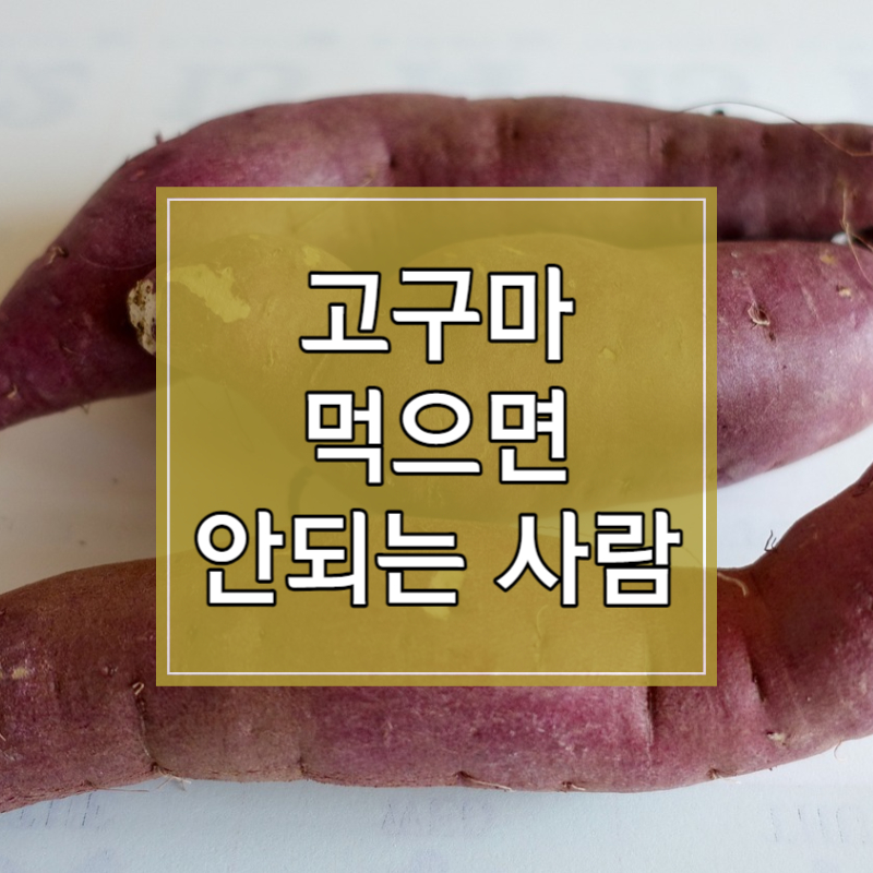 고구마 먹으면 안되는 사람 썸네일