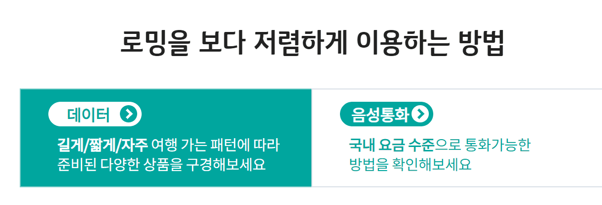 KT 로밍 사진