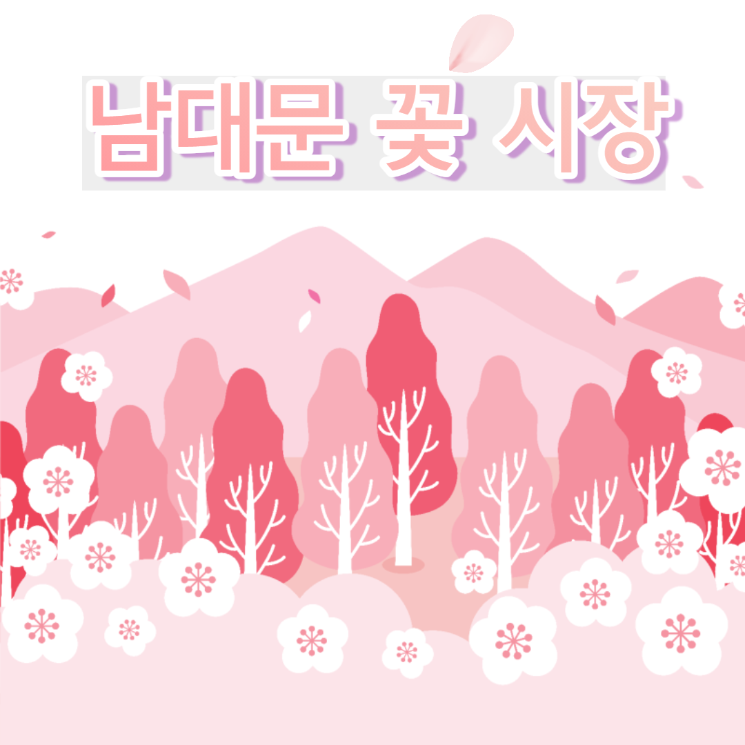  꽃 구경에 시간 가는 줄 몰랐던 남대문 꽃 시장