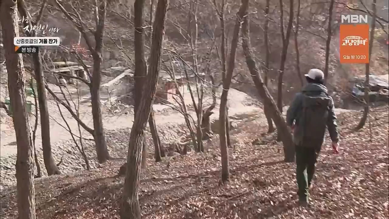 나는 자연인이다.E533.221222p.WANNA.mp4_20221222_194218.479.jpg