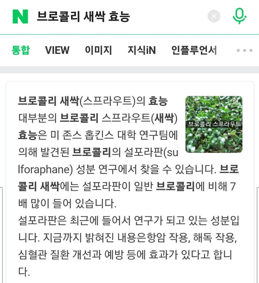 새싹키우기 새싹키워서 11