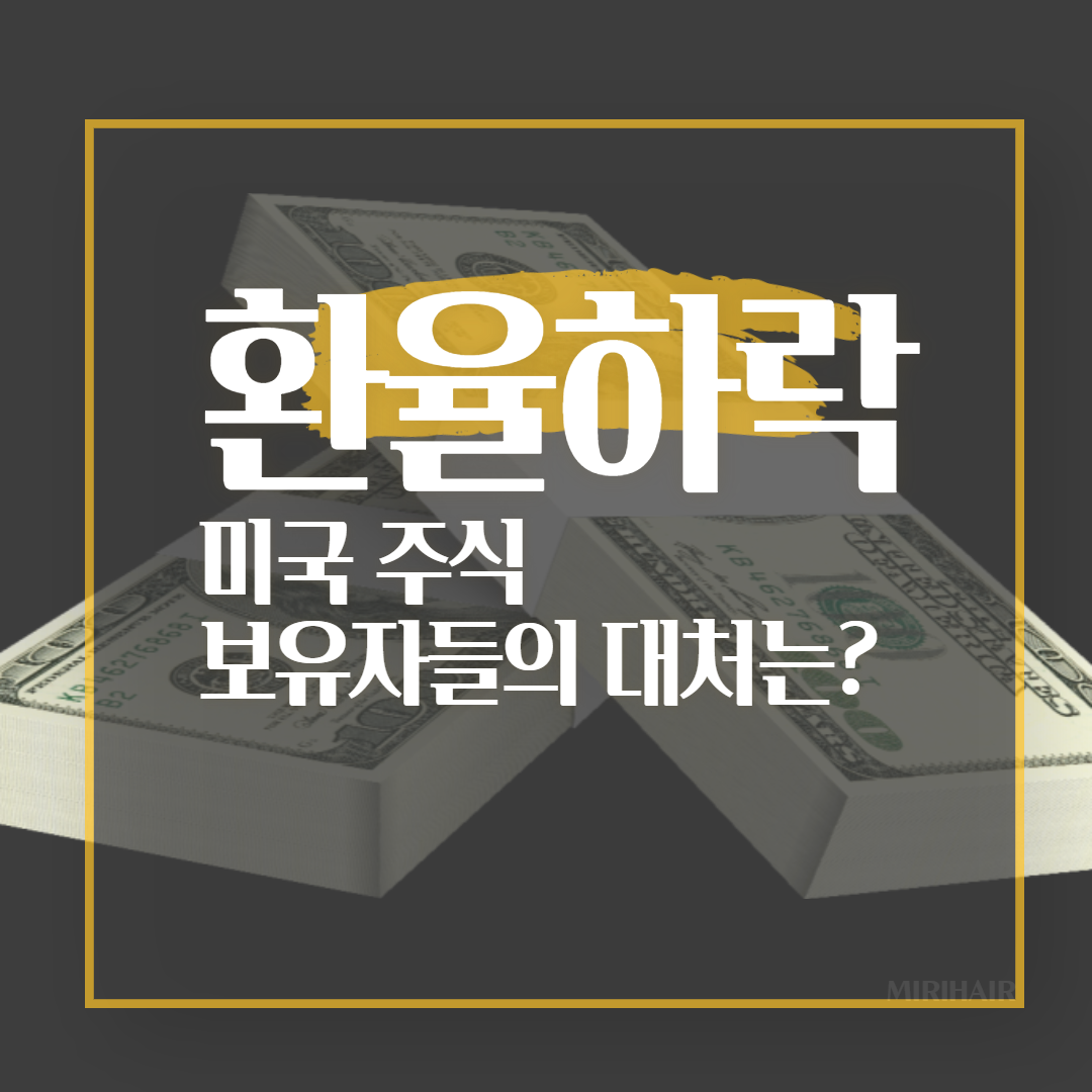  환율하락 , 환전 전략및 해외주식 구매 전략