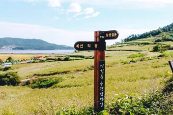 장흥 가볼만한곳 베스트10 현지인 추천 필수코스_20