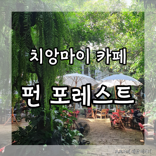  치앙마이 펀포레스트 카페 스파게티 Chiangmai Fern Forest