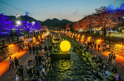 금오천 벚꽃 축재 저녁 풍경