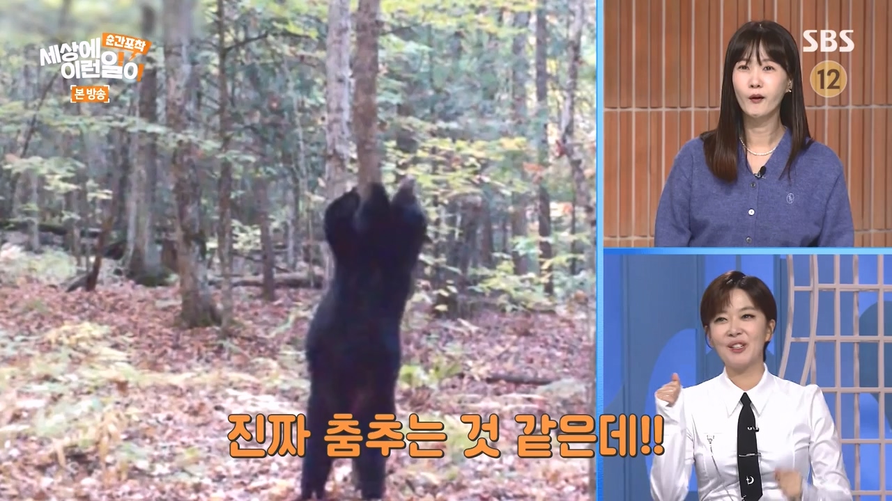 순간포착 세상에 이런일이.E1251.231105p-NEXT.mp4_20231105_172802.697.jpg