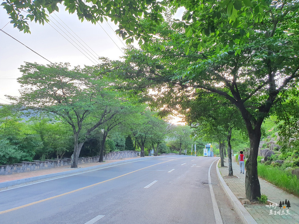 화왕산 매표소