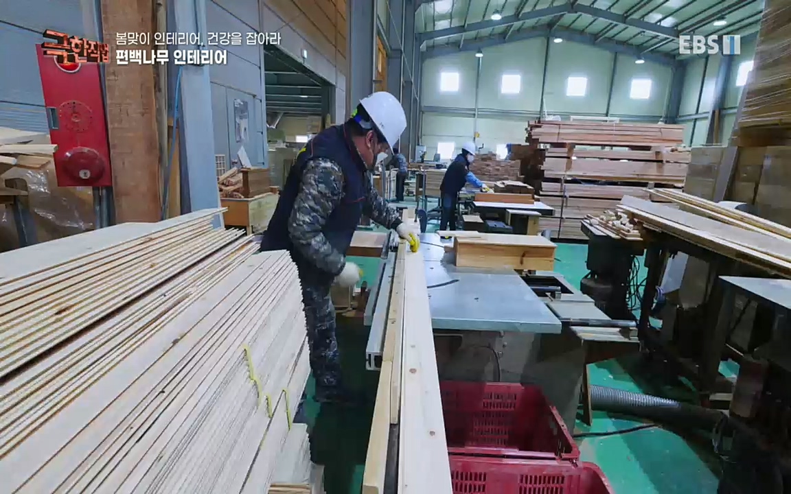 TV - 교육의 중심 EBS봄맞이 인테리어, 천연 소재로 건강을 잡아라.mp4_20220514_192325.071.jpg