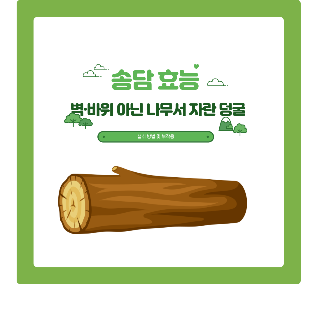  신이 내린 놀라운 송담 효능 알아보기
