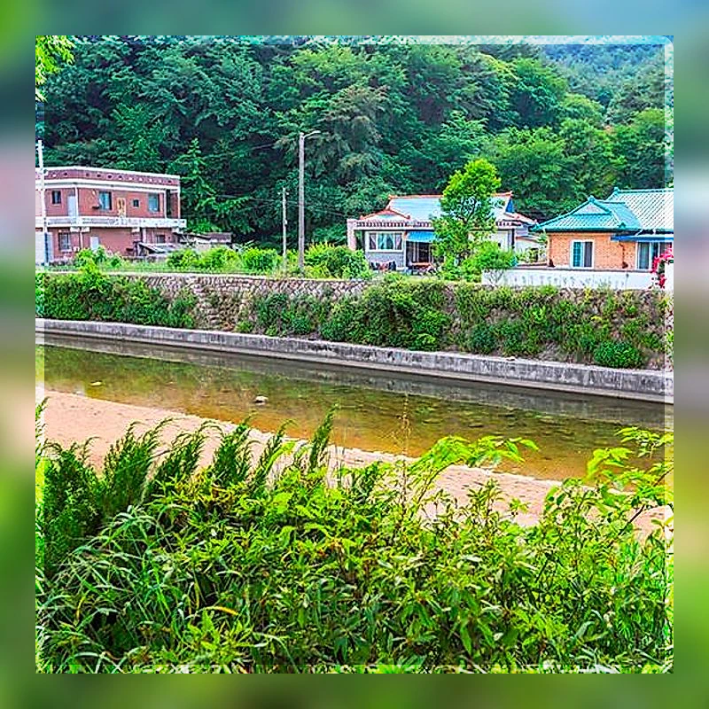 보은 속리산동산민박펜션 (Boeun Songnisan Dongsan Pension)_3