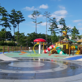 중랑캠핑숲-잔디광장-어린이-물놀이터