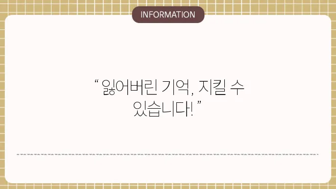 라이나생명 치매보험: 기초를 지켜주는 보장