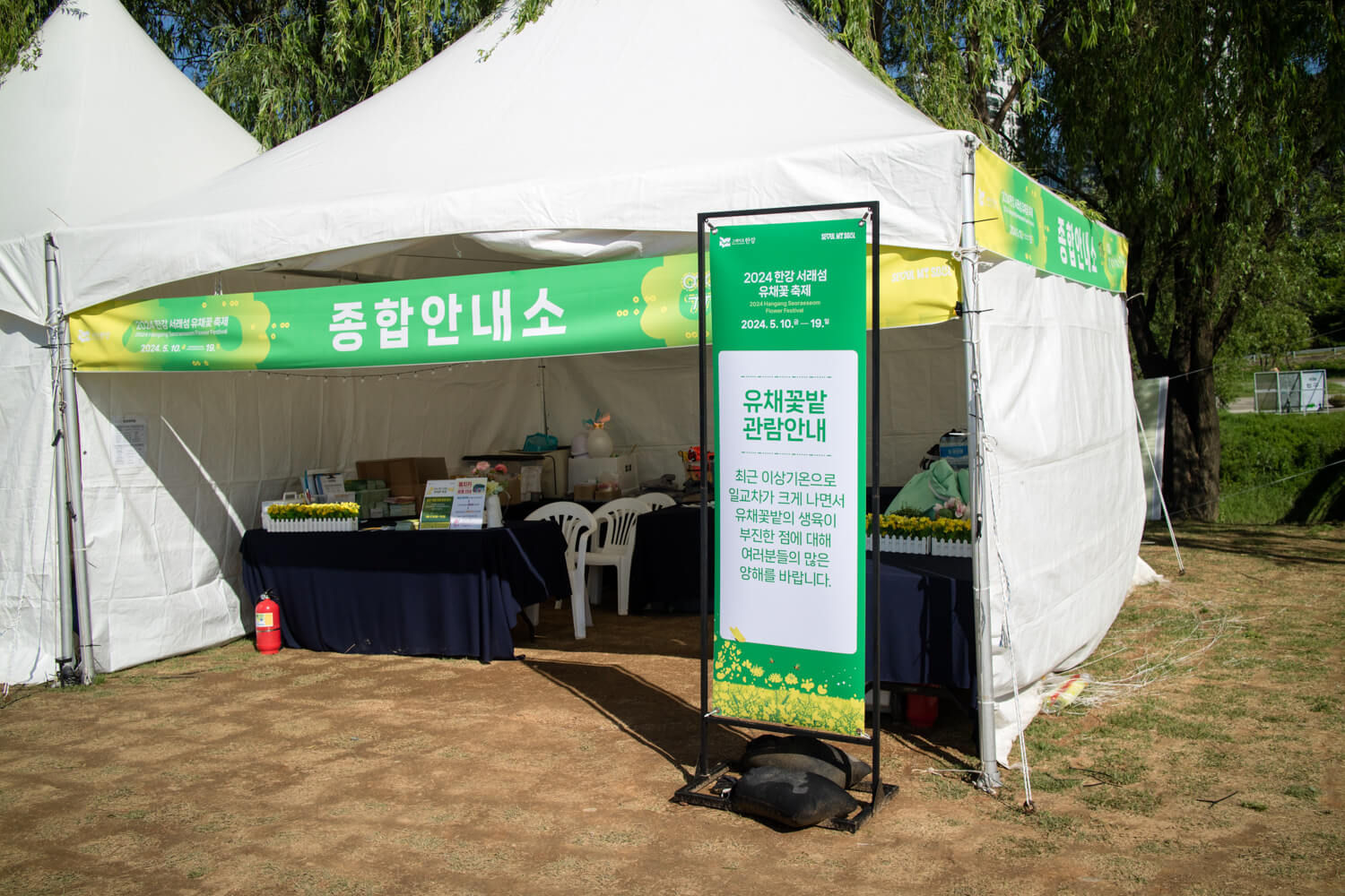 유채꽃 없는 서래섬 유채꽃 축제