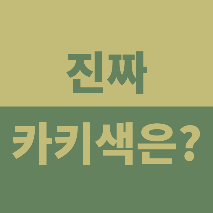  5초 안에 둘 중에서 카키색을 골라보세요