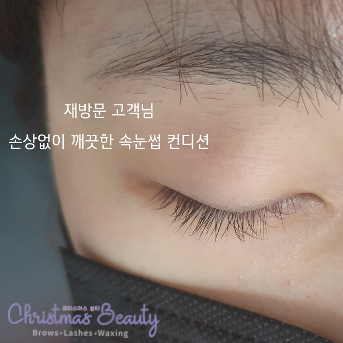 크리스마스뷰티 속눈썹펌 특징