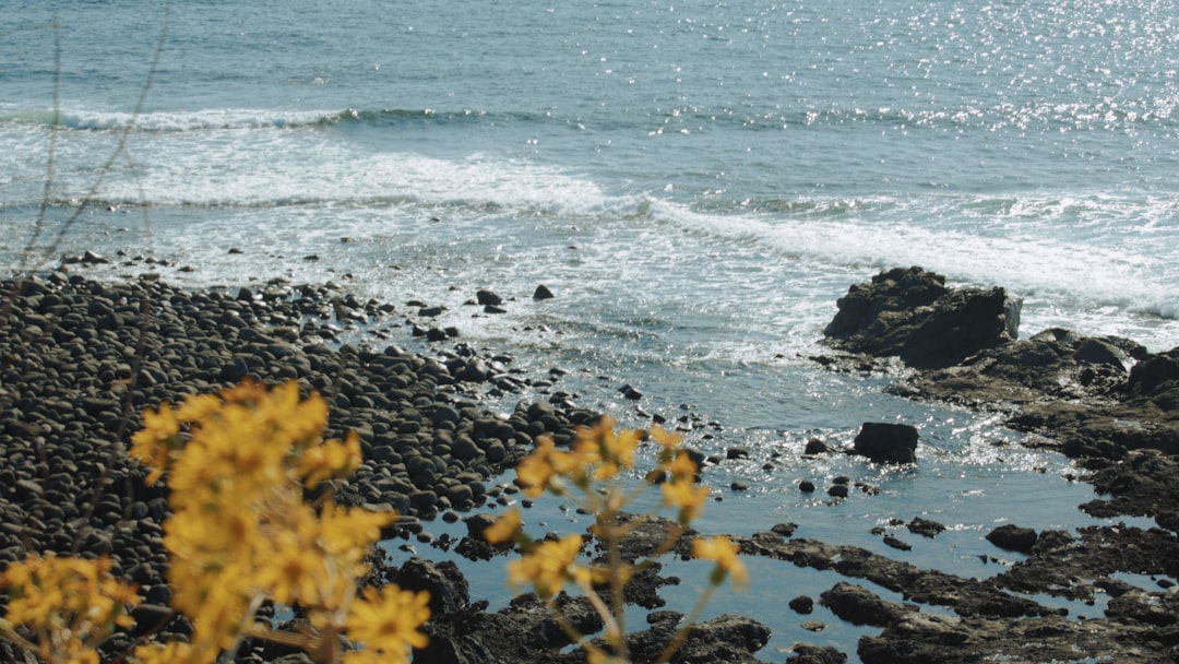 Jeju Island