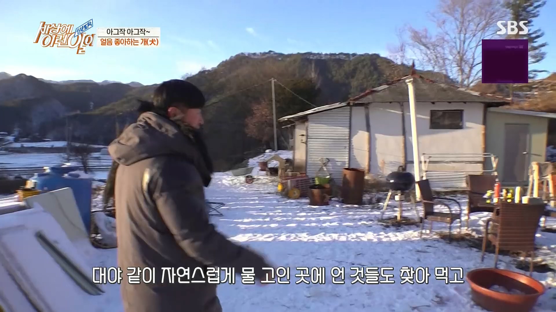 순간포착 세상에 이런일이.E1212.230103p.H264-F1RST.mp4_20230105_192334.534.jpg