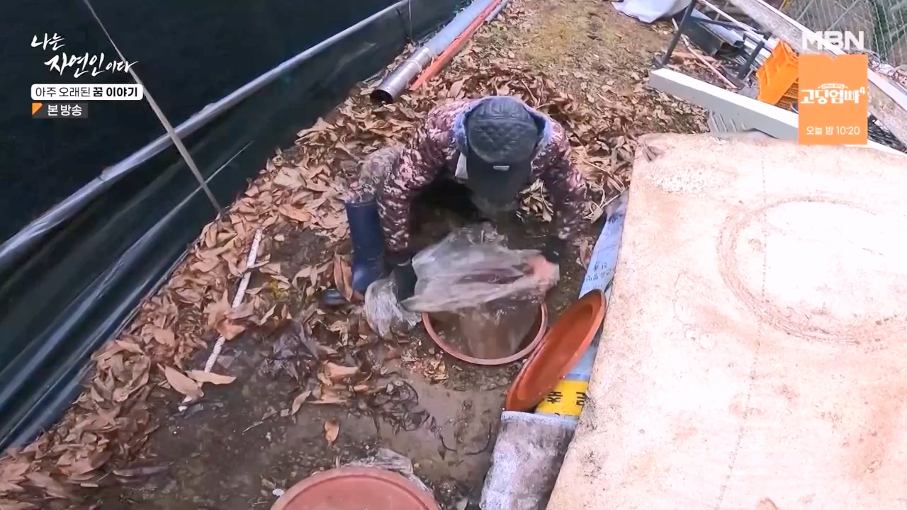 나는 자연인이다.E594.240222p-NEXT.mp4_20240222_195336.773.jpg