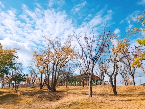#부산 아이와가 볼만한 바다 운대수목원 48