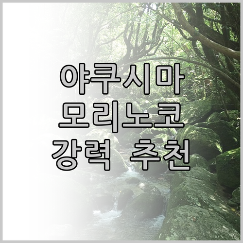 야쿠시마 여행객 필독! 코티지 모리노