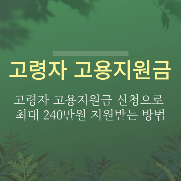 고령자 고용지원금 신청으로 최대 240만원 지원받는 방법